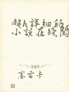 超h详细的长篇小说在线阅读封面