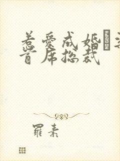 惹爱成婚·染指首席总裁