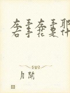 左手左手耶右手右手花是什么歌