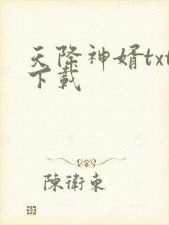 天降神婿txt下载