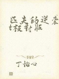 匹夫的逆袭txt校对版