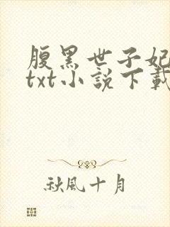 腹黑世子妃日常txt小说下载