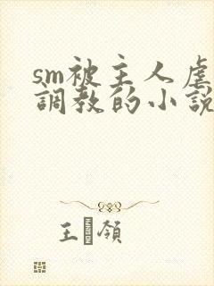 sm被主人虐玩调教的小说