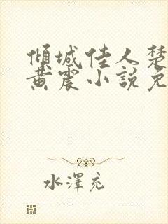 倾城佳人楚青丝黄震小说免费阅读封面