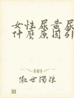 女性尿黄尿频是什么原因引起的