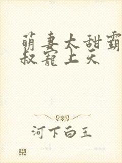 萌妻太甜霸道大叔宠上天