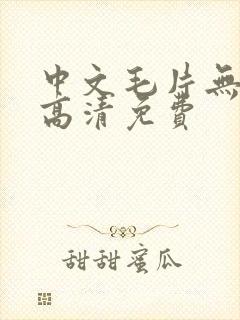 中文毛片无遮挡高清免费