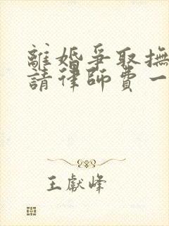 离婚争取抚养权请律师费一般是多少钱