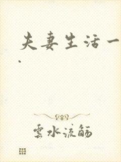 夫妻生活一级片.