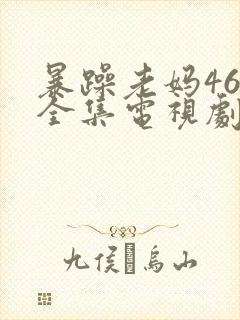 暴躁老妈46集全集电视剧