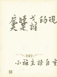 庞晓戈的现任丈夫是谁