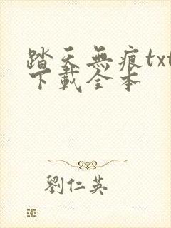 踏天无痕txt下载全本