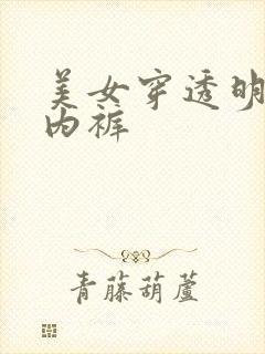 美女穿透明雷丝内裤