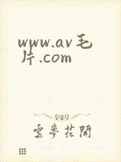 www.av毛片.com