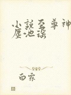 小说至尊神皇叶尘池瑶