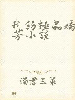 我的极品娇妻慧芳小说