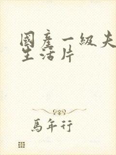 国产一级夫妻性生活片