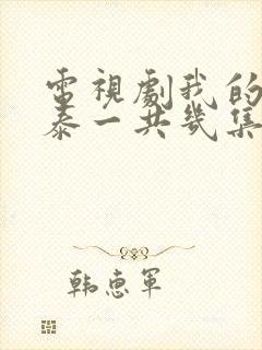 电视剧我的阿勒泰一共几集