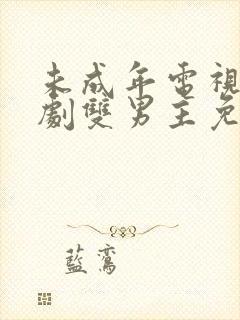 未成年电视剧日剧双男主免费观看