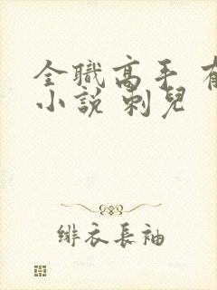 全职高手 有声小说 刺儿