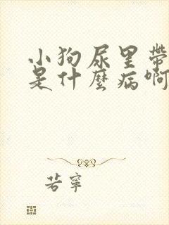 小狗尿里带点血是什么病啊