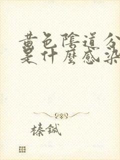 黄色阴道分泌物是什么感染