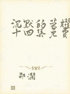 沉默的荣耀第三十四集免费观看