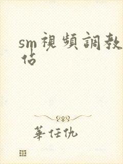sm视频调教网站