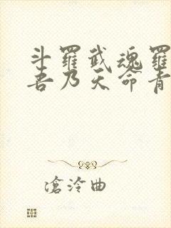 斗罗武魂罗三炮吾乃天命青龙免费阅读