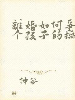 离婚如何争夺两个孩子的抚养权