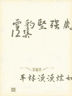 雪豹坚强岁月第12集