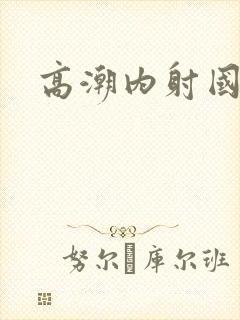 高潮内射国产封面