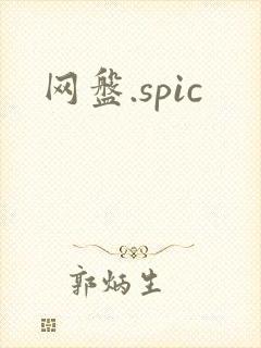 网盘.spic
