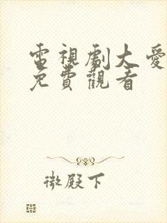 电视剧大爱无敌免费观看封面