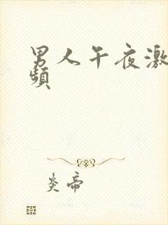 男人午夜激情视频