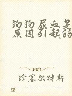 狗狗尿血是什么原因引起的封面