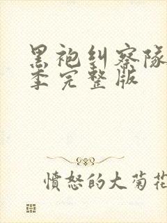 黑袍纠察队第2季完整版