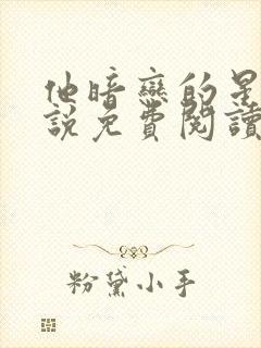 他暗恋的星星小说免费阅读