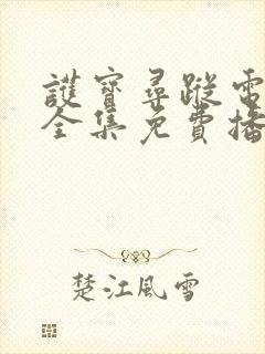 护宝寻踪电视剧全集免费播放