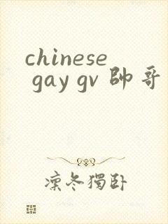 chinese gay gv 帅哥