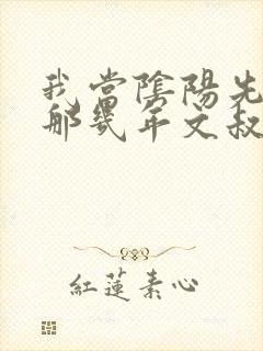 我当阴阳先生的那几年文叔身份