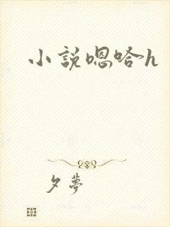 小说嗯哈h