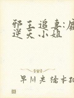 邪王追妻:废材逆天小姐