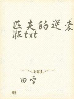 匹夫的逆袭精校版txt封面