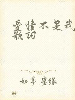 爱情不是我想象歌词