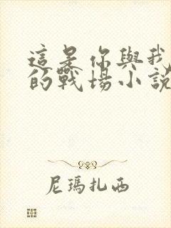 这是你与我最后的战场小说