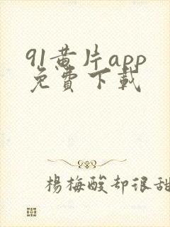 91黄片app免费下载
