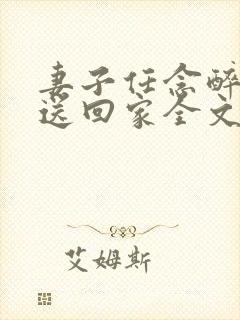 妻子任念醉酒被送回家全文阅读