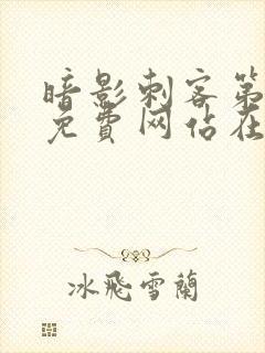 暗影刺客第五季免费网站在线观看