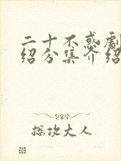 二十不惑剧情介绍分集介绍